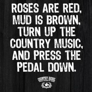 Meet your Posher, Bea